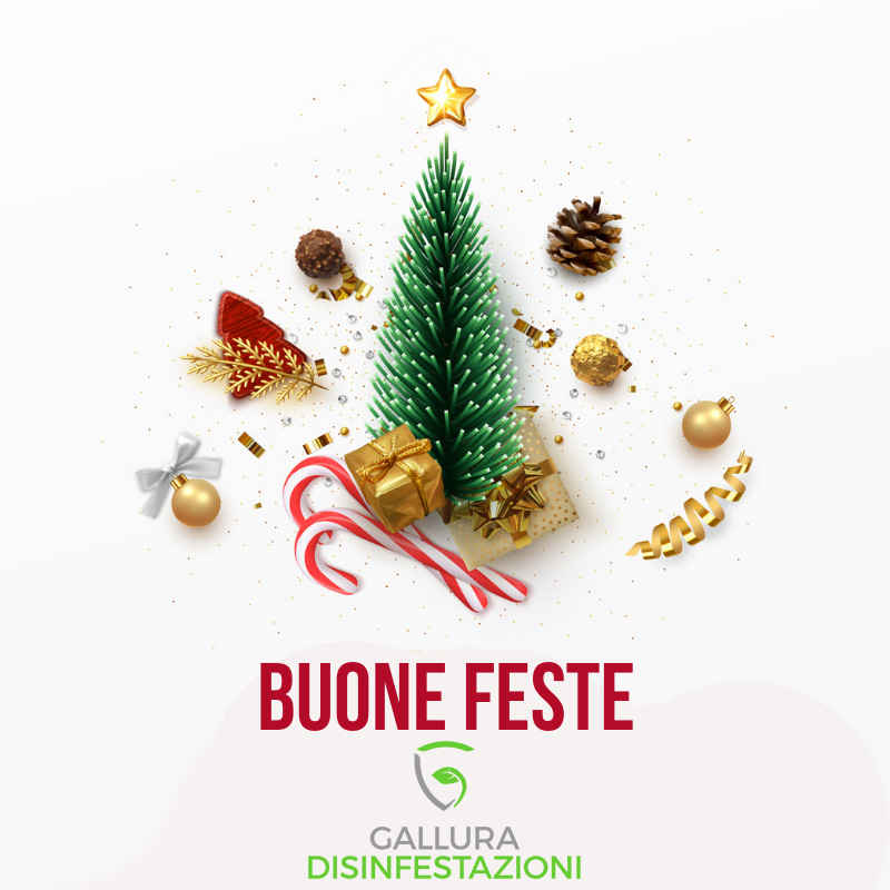 Buon Natale e Arrivederci nel 2020