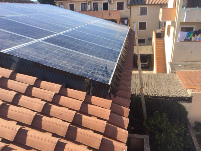 I danni agli impianti fotovoltaici causati dai piccioni