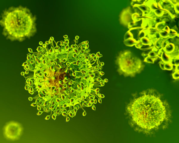 L’emergenza causata dal Coronavirus
