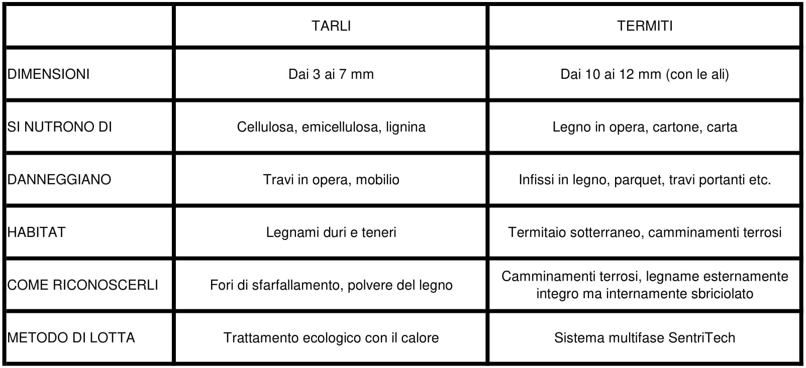 Le principali differenze tra le infestazioni da Termiti e da Tarli